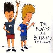 The Beavis and Butthead Experience